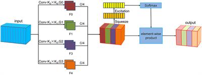 PSAEEGNet: pyramid squeeze attention mechanism-based CNN for single-trial EEG classification in RSVP task